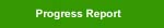 Progress Report